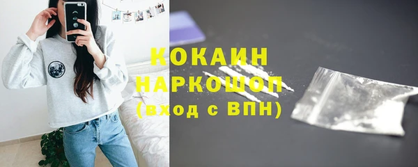соль ск Краснослободск