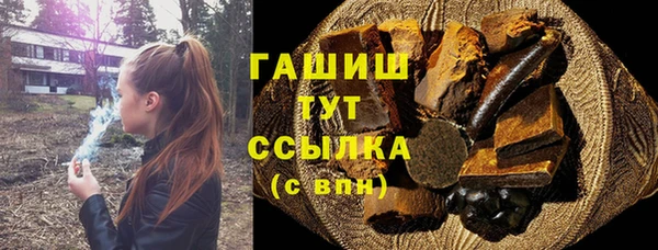 соль ск Краснослободск