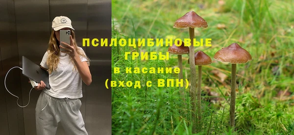 герыч Струнино
