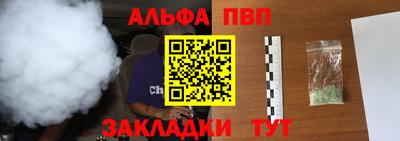 дмт Кингисепп
