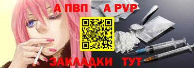 дмт Кингисепп