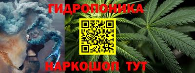 шишки Кимры