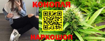 дмт Кингисепп