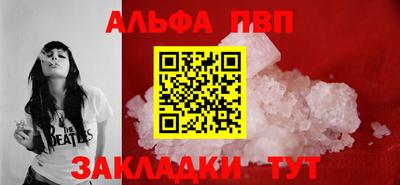 дмт Кингисепп
