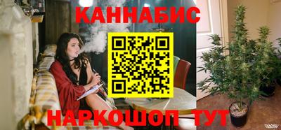 шишки Кимры