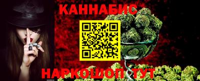 дмт Кингисепп