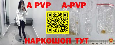 шишки Кимры