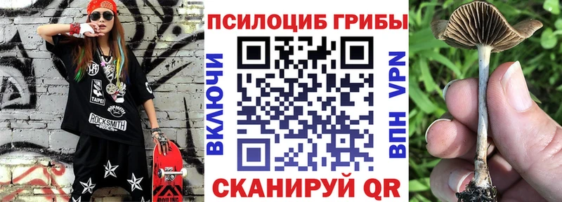 закладка  мориарти клад  Псилоцибиновые грибы Cubensis  Лесозаводск 