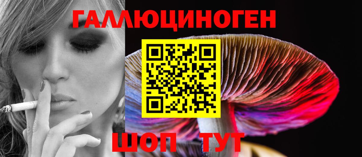 Псилоцибиновые грибы MAGIC MUSHROOMS  Вход с VPN  Лесозаводск 