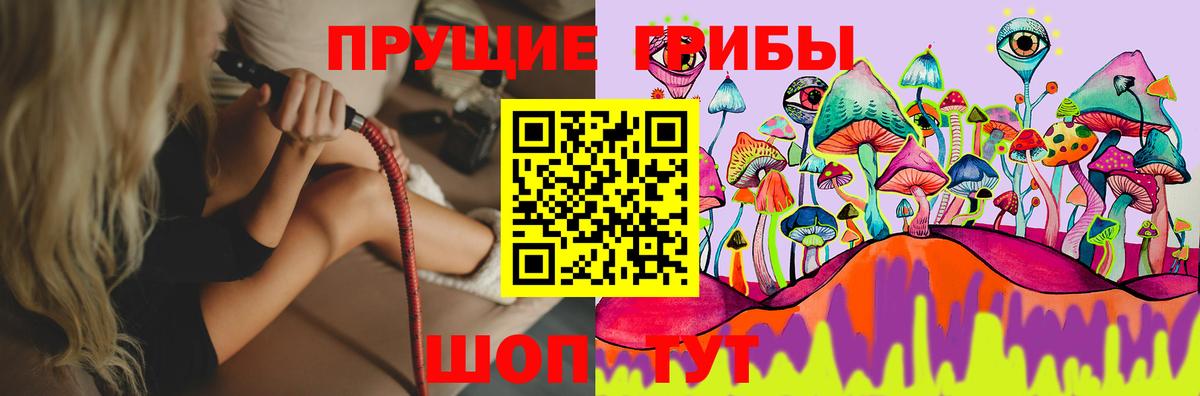 Псилоцибиновые грибы ЛСД Лесозаводск